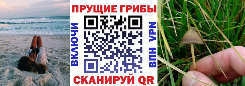 это официальный сайт  Рязань  MEGA как зайти  Галлюциногенные грибы мухоморы  купить закладку 